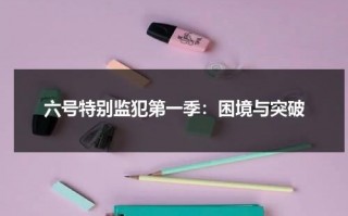 六号特别监犯第一季：困境与突破（六号特工2020）
