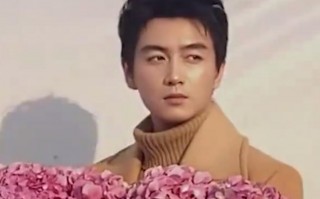 陈晓陈妍希未有商业关联 陈晓名下工作室为个人独资