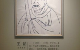 王韶（王韶悌）