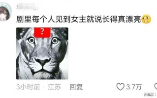 《双轨》火是火了，但观众的弃剧理由出奇一致