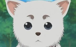 这是最好的国产情景喜剧了吧？