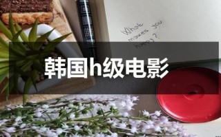 韩国h级电影