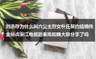 刘浩存为什么叫六公主烈女朴氏契约结婚传金裕贞宋江电视剧秦岚和魏大勋分手了吗（刘浩存是谁的艺人）