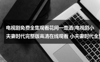 电视剧免费全集观看花间一壶酒(电视剧小夫妻时代完整版高清在线观看 小夫妻时代全集优酷)（花间一壶酒电视剧视频）