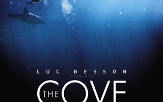 海豚湾 The Cove