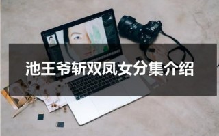 池王爷斩双凤女分集介绍（池王爷斩双凤女电视剧大结局）