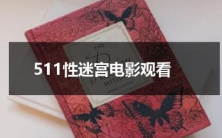 511性迷宫电影观看