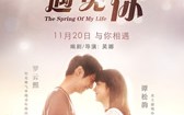 最美的时候遇见你 The Spring Of My Life