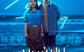 一闪一闪亮星星 Shining For One Thing