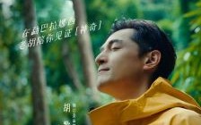 胡歌谈人生倒计时：珍惜陪伴与责任感，展现父爱的深情启示