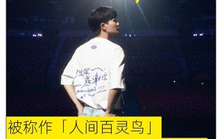 从默默无闻小镇青年到一人登上六台春晚，是实至名归还是运气爆满（从默默无闻到一鸣惊人的句子）