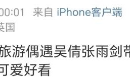 复合信号拉满！离婚三年吴倩张雨剑带娃同游芬兰