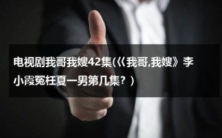 电视剧我哥我嫂42集(巜我哥,我嫂》李小霞冤枉夏一男第几集？)（电视剧我哥我嫂的女主角是谁）