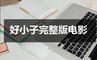 好小子完整版电影（好小子在线观看全集）