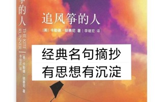 追风筝的人(追风筝的人讲的是什么故事)