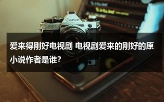 爱来得刚好电视剧 电视剧爱来的刚好的原小说作者是谁？（爱来得刚好的演员表和角色介绍）