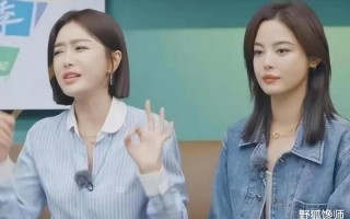 在某综艺节目中，秦岚突然走向辛芷蕾，毫无预警地吻了她的脸颊。