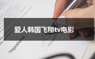 爱人韩国飞翔tv电影