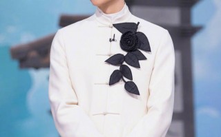 张智霖记忆力退化考虑退休 对于告别舞台已有构思