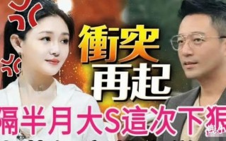 为了让大S不再花自己钱，汪小菲放弃了孩子的探视权（汪小菲和大s感情好吗）