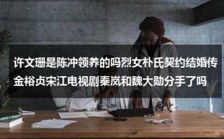 许文珊是陈冲领养的吗烈女朴氏契约结婚传金裕贞宋江电视剧秦岚和魏大勋分手了吗（许文珊和陈冲的关系）