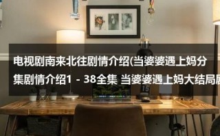 电视剧南来北往剧情介绍(当婆婆遇上妈分集剧情介绍1－38全集 当婆婆遇上妈大结局剧情介绍)（《南来北往》）