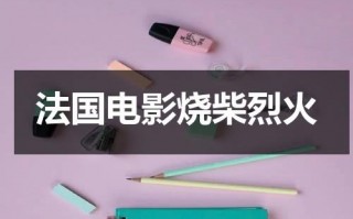 法国电影烧柴烈火
