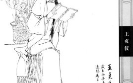 王贞仪（王贞仪长什么样）