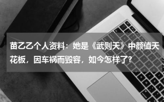 苗乙乙个人资料：她是《武则天》中颜值天花板，因车祸而毁容，如今怎样了？