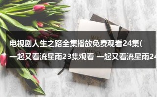 电视剧人生之路全集播放免费观看24集(一起又看流星雨23集观看 一起又看流星雨24集播放 土豆网优酷网在线看一起又看流星雨电视剧全集视频)（人生电视剧30集在线观看第一集）