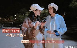 大农化与少年丝路季：迪丽热巴最强导游，辛芷蕾教育逆子胡先煦