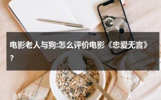 电影老人与狗:怎么评价电影《忠爱无言》？