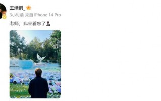 好声音学员王泽鹏悼念李玟，言语很不舍，曾在网上爆料节目组黑幕
