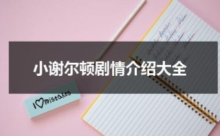 小谢尔顿剧情介绍大全