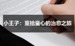 小王子：重拾童心的治愈之旅（小王子眼睛是看不到的）