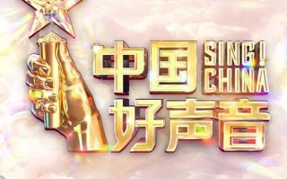 跌下神坛，再见了《中国好声音》！