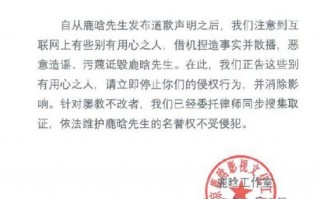 鹿晗工作室再发声明 否认网传不实消息
