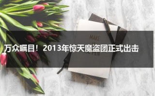 万众瞩目！2013年惊天魔盗团正式出击（惊天魔盗团背后的组织）