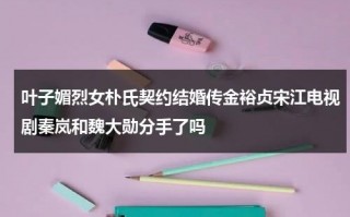 叶子媚烈女朴氏契约结婚传金裕贞宋江电视剧秦岚和魏大勋分手了吗