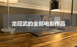 龙冠武的全部电影作品