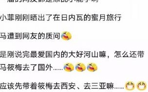 大S离世后亲友争夺抚养权，引发惊人舆论危机