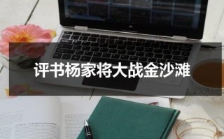 评书杨家将大战金沙滩