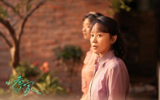 《小巷人家》主演闫妮——与“黄玲”同悲同喜（小巷人家课文内容）
