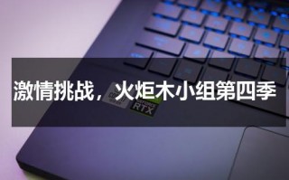 激情挑战，火炬木小组第四季（火炬木小组第一季在线下载）
