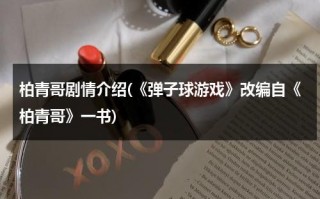 柏青哥剧情介绍(《弹子球游戏》改编自《柏青哥》一书)（上海柏青哥）