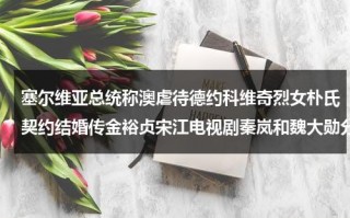塞尔维亚总统称澳虐待德约科维奇烈女朴氏契约结婚传金裕贞宋江电视剧秦岚和魏大勋分手了吗（塞尔维亚vuk是谁）