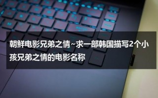 朝鲜电影兄弟之情~求一部韩国描写2个小孩兄弟之情的电影名称（韩国喜剧任昌丁）