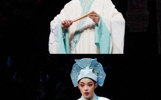 这个春晚出尽风头的她，现在参加“浪姐”了，又要迷倒多少女观众