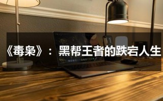 《毒枭》：黑帮王者的跌宕人生（毒枭2女毒枭大嫂是谁）