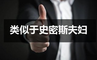 类似于史密斯夫妇